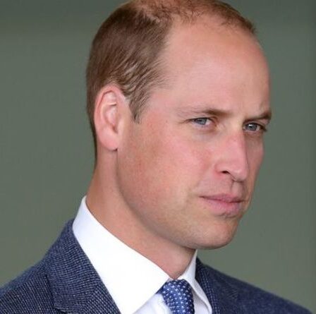Le personnel du prince William « a planté des histoires sur la santé mentale de Harry », selon un expert royal