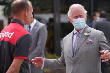 Le prince Charles accueilli par un "personnel sans masque" lors d'une visite en Islande dans un geste "bizarre"