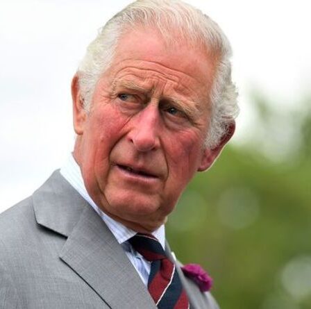 Le prince Charles « redoutait » le dîner en tête-à-tête prévu avec Harry lors de son retour au Royaume-Uni