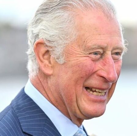 Le prince Charles renforce son rôle royal et remplace la reine lors de fiançailles précieuses
