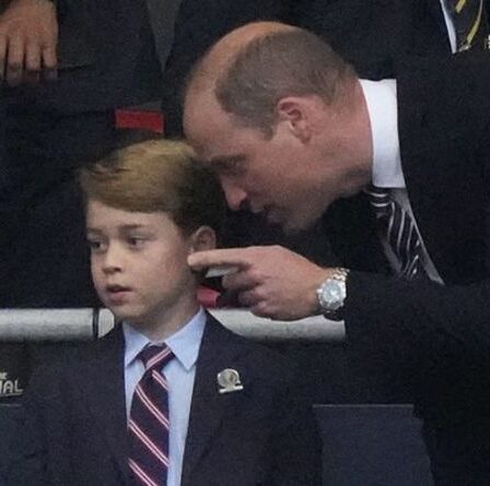 Le prince George sera tenu "hors des projecteurs" après des critiques "très dures" à l'encontre du jeune royal