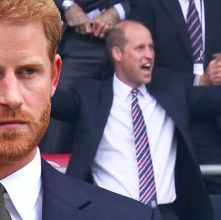 Le prince Harry 'a rappelé à quoi il appartient vraiment' après l'apparition du prince William à l'Euro 2020