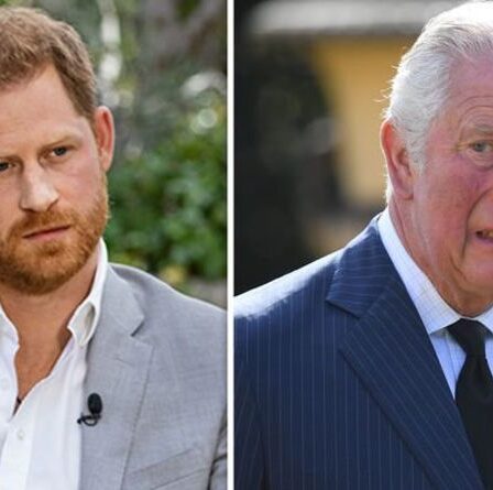 Le prince Harry doit accepter la « dure réalité » d'être une « non-entité » lorsque Charles est roi