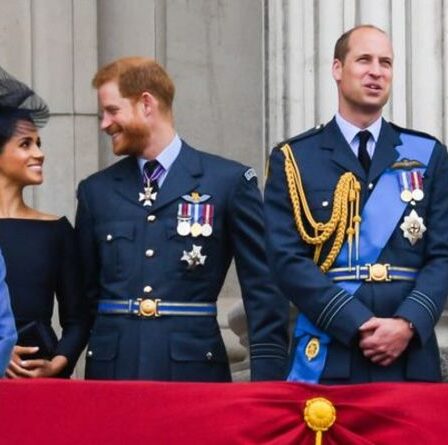 Le prince Harry et Meghan Markle pourraient avoir « une chance de se réconcilier » avec la famille royale
