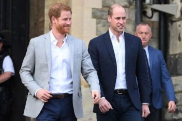 Le prince Harry et William envoient des SMS au sujet de la victoire entre l'Angleterre et l'Allemagne – « Allez dans la bonne direction »