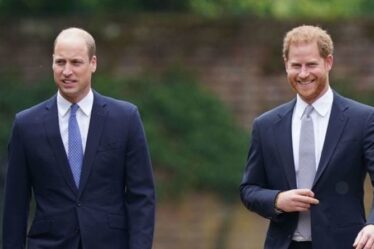 Le prince Harry et William "ont partagé une coupe de champagne" après le dévoilement de la statue de Diana