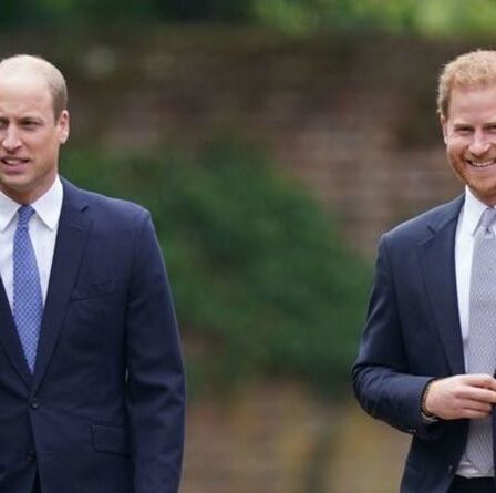 Le prince Harry et William "ont partagé une coupe de champagne" après le dévoilement de la statue de Diana
