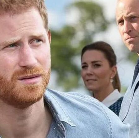 Le prince Harry « fait pression » sur William pour empêcher Kate de dévoiler sa statue, selon un expert