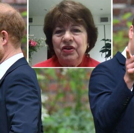 Le prince Harry « veut se venger de William » affirme un expert : « Il ne pourrait jamais faire aussi bien que lui »