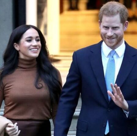 Le prince William a averti Harry de ralentir la parade nuptiale de Meghan, la duchesse étant «trop agitatrice»