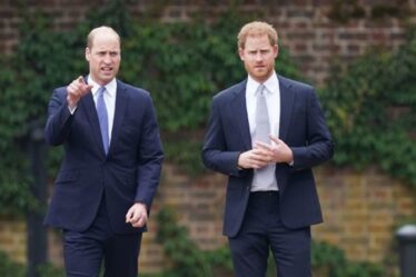 Le prince William a évité la tentative du prince Harry de se reconnecter selon un expert du corps