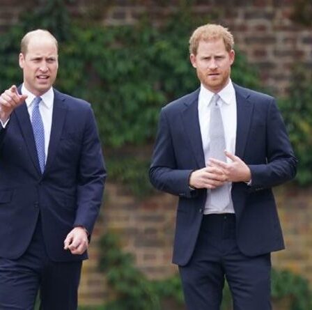 Le prince William a évité la tentative du prince Harry de se reconnecter selon un expert du corps