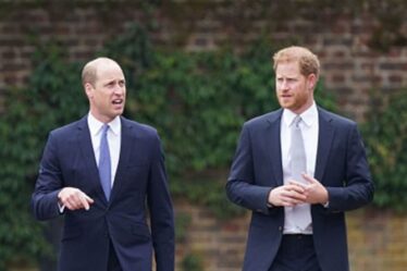 Le prince William a exaspéré le prince Harry avec les inquiétudes de Meghan Markle: "Être un snob!"