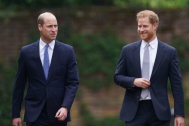 Le prince William déclenche des rumeurs sur la fin de la rupture de Harry avec une remarque sur un «petit endroit incroyable»