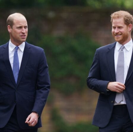 Le prince William déclenche des rumeurs sur la fin de la rupture de Harry avec une remarque sur un «petit endroit incroyable»