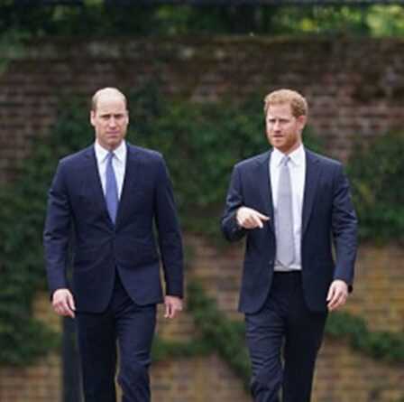 Le prince William était «livide» avec le prince Harry à propos de l'accord Netflix: «Incroyablement mal à l'aise»