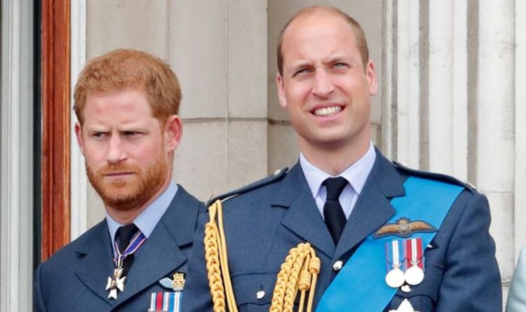 Le prince William offre une branche d'olivier au prince Harry avec une demande de statue de Diana