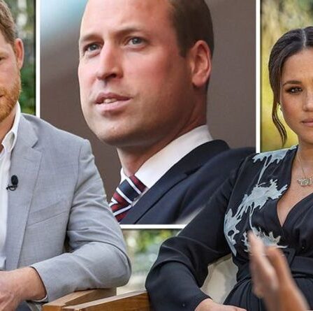 Le prochain mouvement de Meghan Markle et du prince Harry suscite la peur chez William – « Il le redoute »