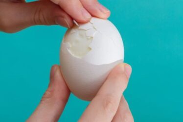 Le régime d'œufs à la coque «n'est pas durable à long terme» mais favorisera la perte de poids