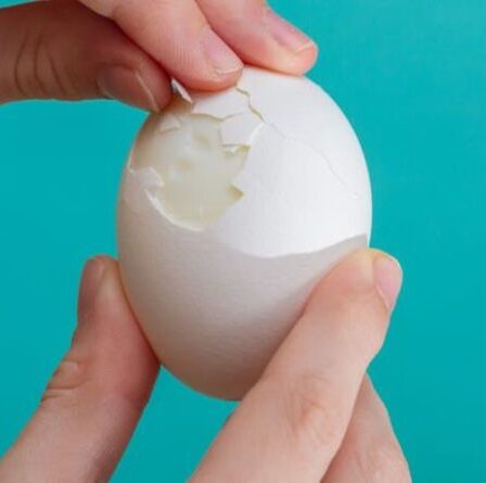 Le régime d'œufs à la coque «n'est pas durable à long terme» mais favorisera la perte de poids