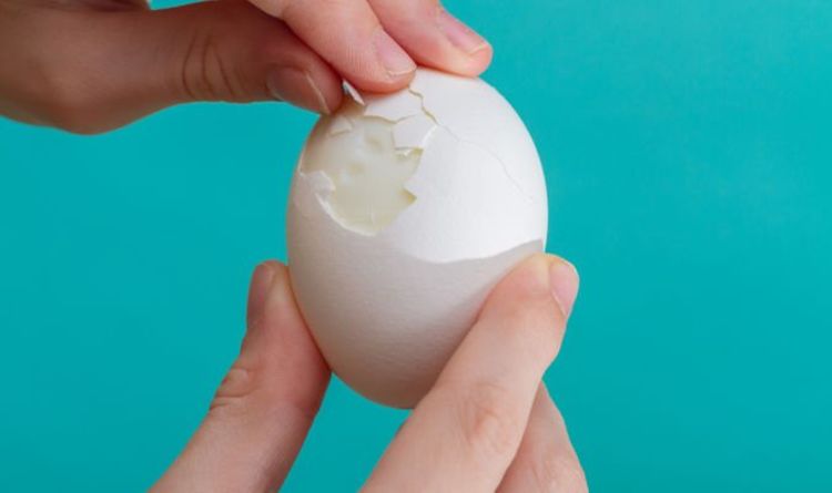 Le régime d'œufs à la coque «n'est pas durable à long terme» mais favorisera la perte de poids