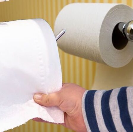 Le rouleau de papier toilette doit-il passer par dessus ou par dessous  L'inventeur officiel révèle la vérité