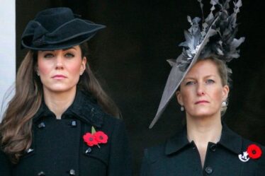 Le succès royal de Sophie Wessex et Kate Middleton résumé brutalement : "Ils sont fades"