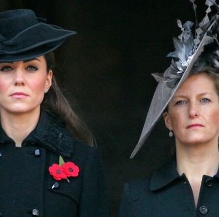 Le succès royal de Sophie Wessex et Kate Middleton résumé brutalement : "Ils sont fades"