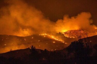 « L'enfer ! »  Quatre corps retrouvés à la suite de l'incendie de forêt le plus meurtrier de l'histoire chypriote