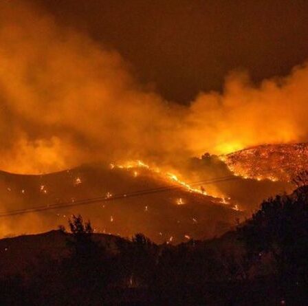 « L'enfer ! »  Quatre corps retrouvés à la suite de l'incendie de forêt le plus meurtrier de l'histoire chypriote