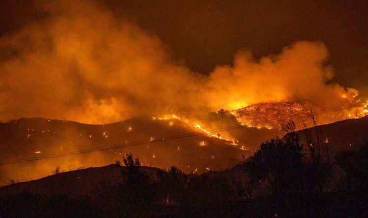 « L'enfer ! »  Quatre corps retrouvés à la suite de l'incendie de forêt le plus meurtrier de l'histoire chypriote