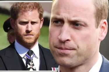 Les assistants royaux sont "sages" d'arrêter le discours de dévoilement du prince Harry après que le duc a "contredit" William