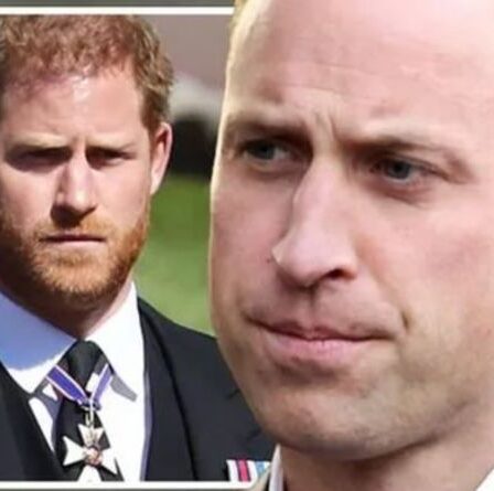 Les assistants royaux sont "sages" d'arrêter le discours de dévoilement du prince Harry après que le duc a "contredit" William