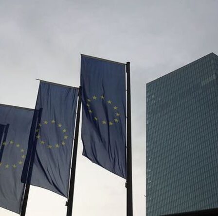 Les banques allemandes font face à un "défi majeur" alors que la BCE publie ses résultats