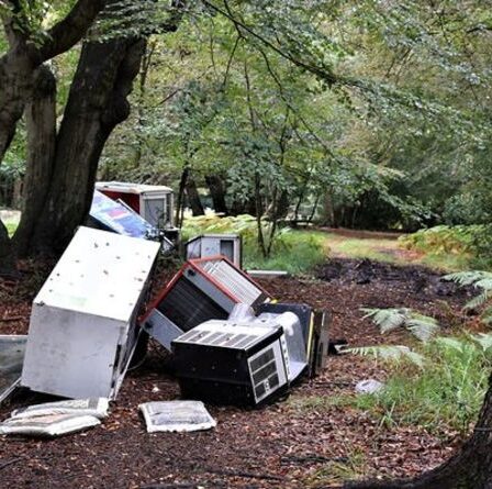Les bennes basculantes qui ont ciblé un site de beauté populaire des centaines de fois condamnés