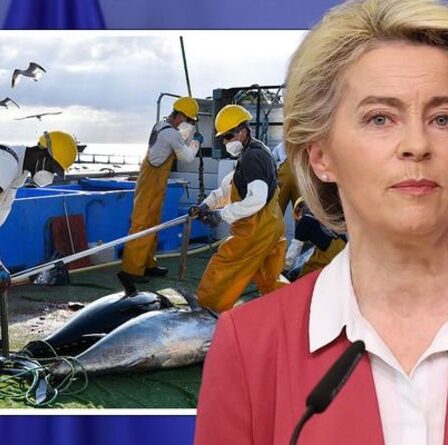 Les changements de règles de l'UE pourraient donner carte blanche aux pêcheurs pour piller les mers