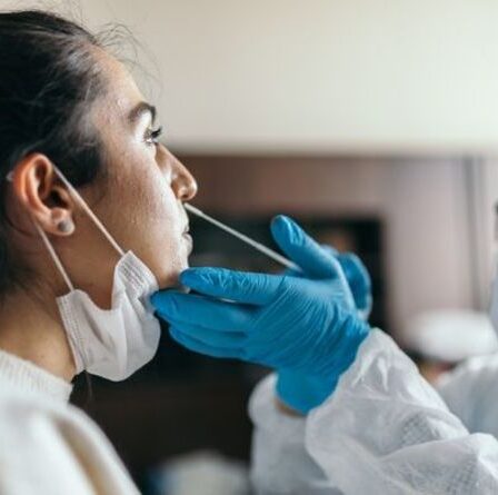 Les coûts des tests Covid exposés alors que l'industrie du voyage émet un avertissement à Boris Johnson – analyse