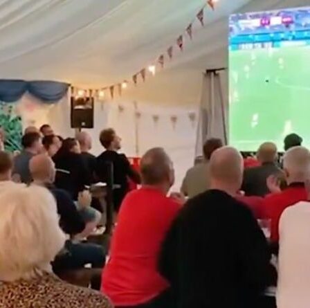 Les fans anglais de "Southgate, tu es le seul" dans un chant hilarant alors que les trois Lions démolissent l'Ukraine