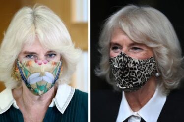 Les meilleurs masques de Camilla: les couvre-visages élégants de Royal montrent qu'elle est "accessible et amusante"