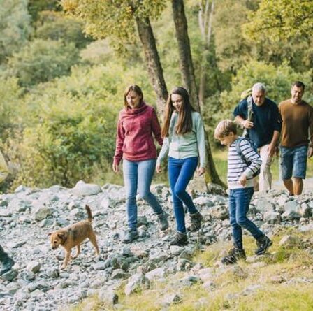 Les parcs nationaux les plus accueillants pour les chiens au Royaume-Uni : quel est le meilleur parc pour promener les chiens ?