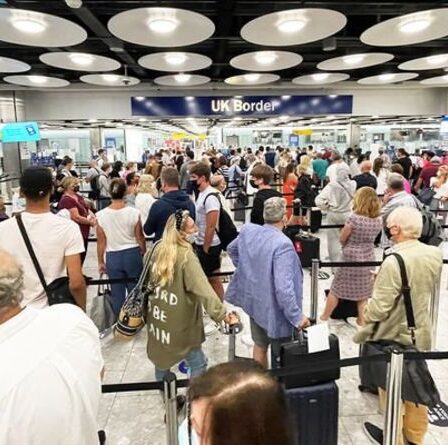 Les passagers d'Heathrow ont conseillé de « mentir » pour éviter les files d'attente – « jamais rien vu de tel »