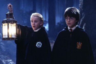 L'expérience de Harry Potter Forbidden Forest avec Fantastic Beasts devrait ouvrir cette année
