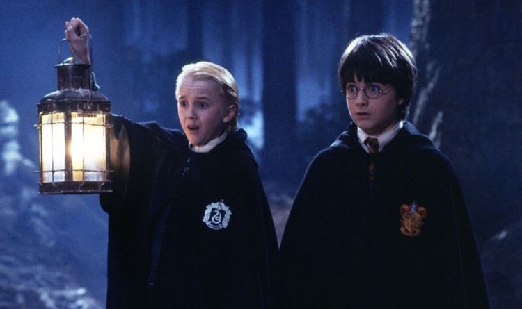 L'expérience de Harry Potter Forbidden Forest avec Fantastic Beasts devrait ouvrir cette année