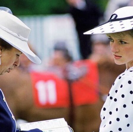 L'intense "aversion" de la princesse Anne pour Diana, car le roi n'avait "pas le temps" pour la princesse de Galles