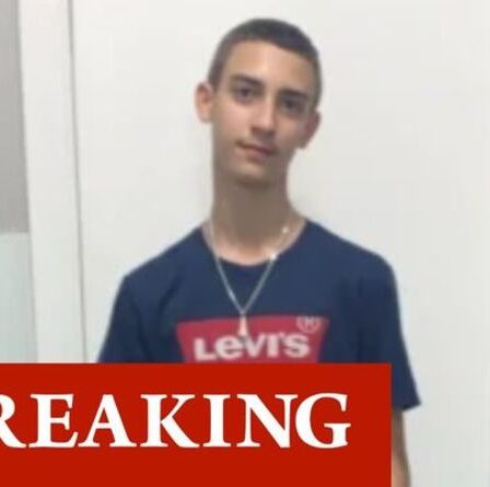 Londres poignarde l'horreur alors qu'un garçon de 16 ans est assassiné lors de l'attaque de Lambeth – Met lance un plaidoyer urgent