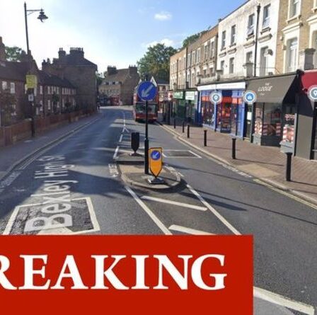 Londres poignarde l'horreur alors qu'une adolescente est transportée par avion à l'hôpital avec de multiples blessures par coupure