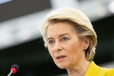 L'unité de l'UE en TATTERS: Ursula von der Leyen patauge alors que l'eurodéputé met en garde Bruxelles "sapée"