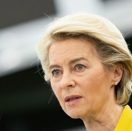 L'unité de l'UE en TATTERS: Ursula von der Leyen patauge alors que l'eurodéputé met en garde Bruxelles "sapée"