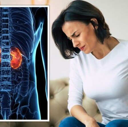 Maladie rénale légère liée au risque de développer et de mourir d'un cancer - symptômes à repérer