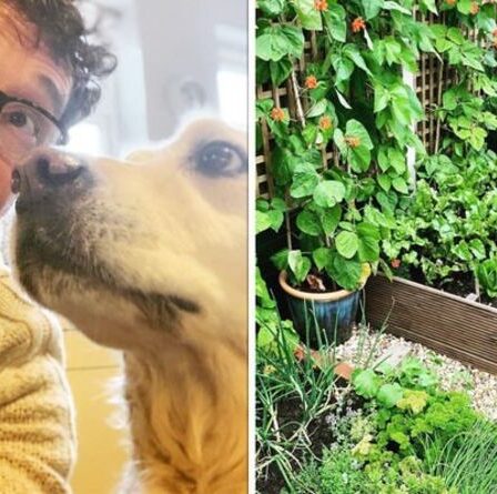 Mark Charnock: À l'intérieur de la charmante cour arrière d'Emmerdale alors que l'acteur montre ses talents de jardinier